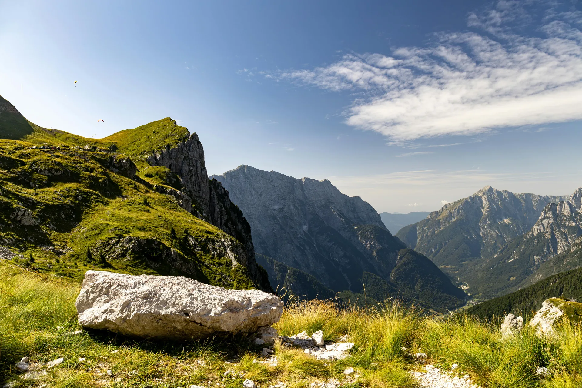 A picturesque view of the Julian Alps showing rugged mountains and a vibrant alpine meadow.
