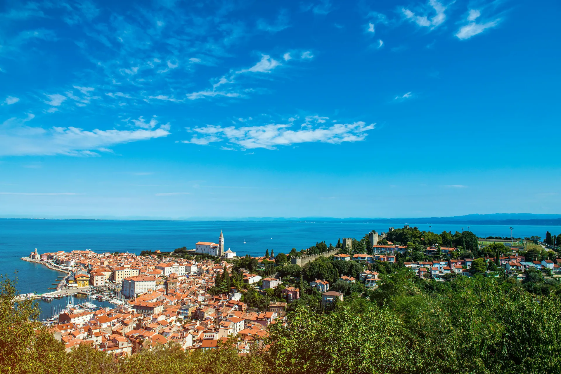 Aerial view of the picturesque coastal town of Piran, Slovenia under a clear blue sky.