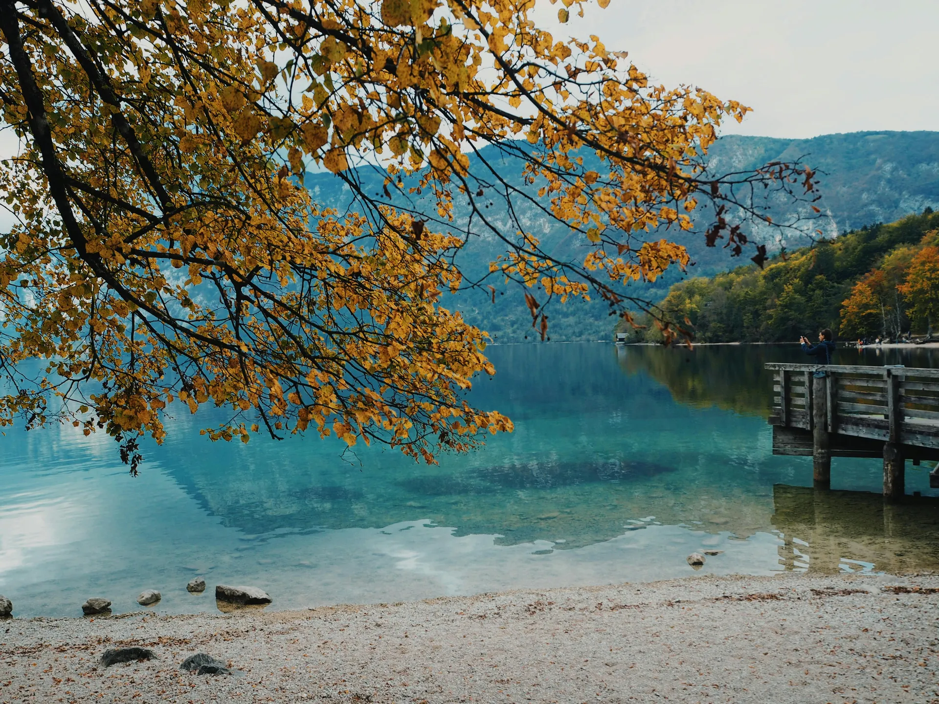 Beautiful autumn scenery at Lake Bohinj with reflections and a wooden pier in Slovenia.